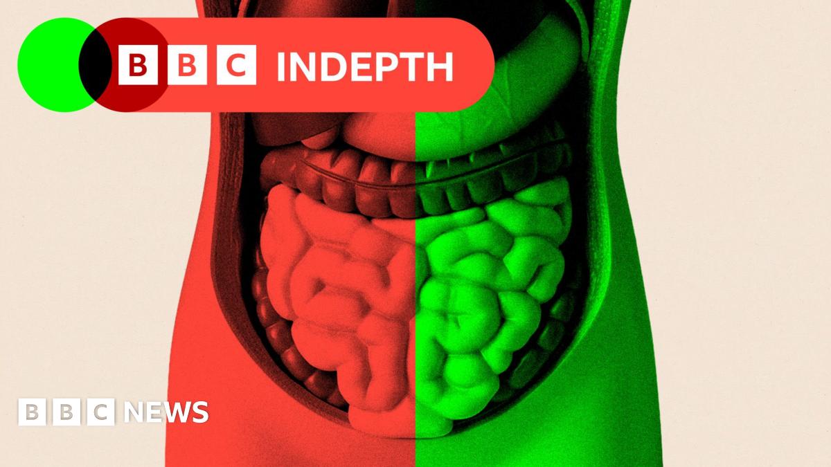 The curious question of whether gut health affects ageing - BBC 3 69fdec90 efc5 11f0 b385 5f48925de19a