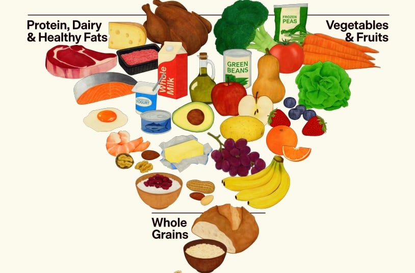Cyvex adds plant-based ferritin iron to distribution portfolio - NutraIngredients.com 1 GZMZFEWPDVGWRBMEUMCIOHLLNU