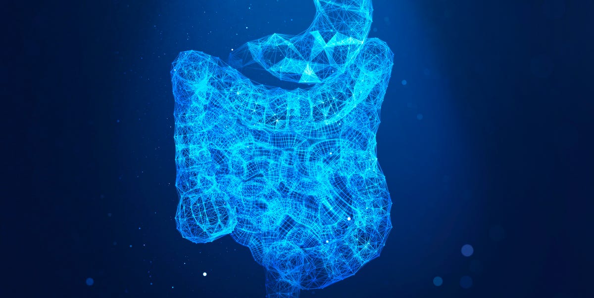 Scientists Healed a Mans Rare Gut Disorder By Giving Him Someone Elses Poop - Popular Mechanics 4 abstract plexus human stomach royalty free image 1768254357