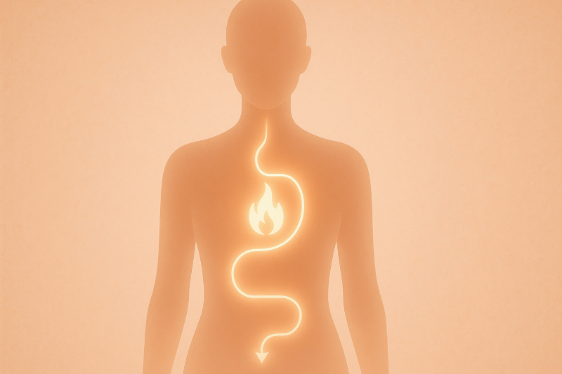 Clinical study shows Dyglomera and CQR-300 boost natural GLP-1 to support metabolic health - Nutraceutical Business Review 1 clinical study shows dyglomera and cqr 300 2 1