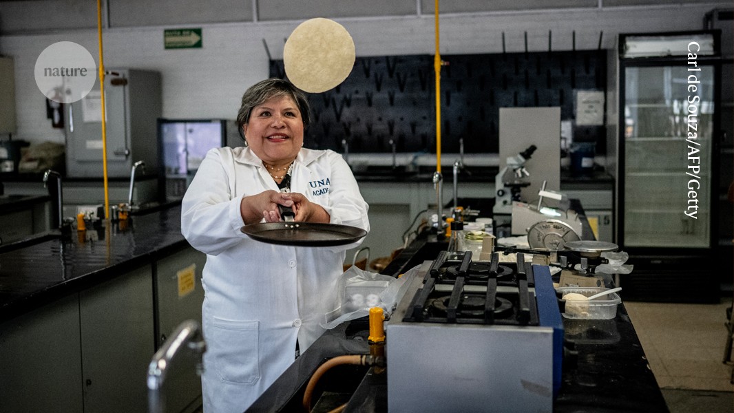 Developing super-tortillas to address malnutrition in Latin America 1 d41586 026 00087 w 51833540 1