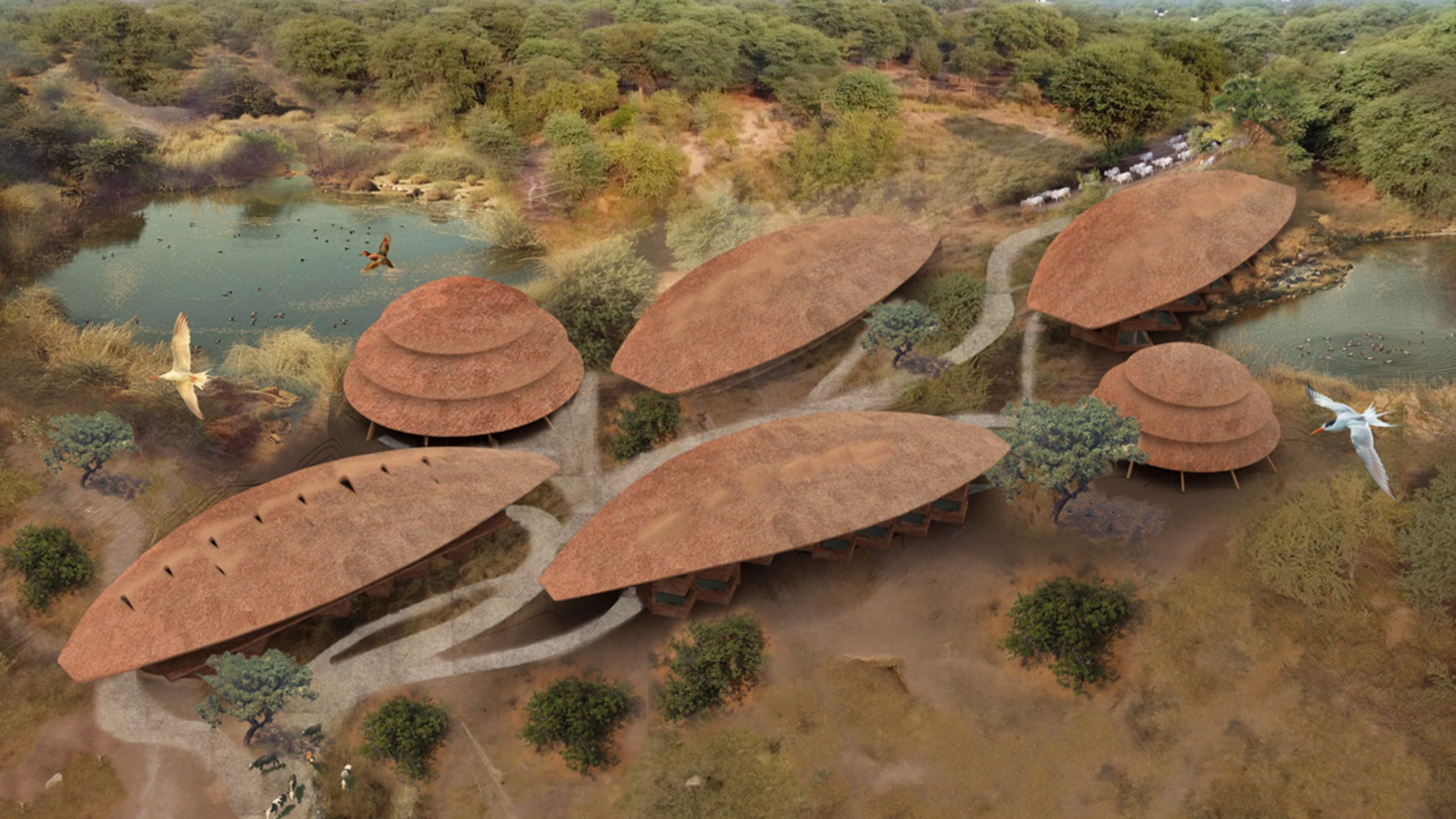 Maternity clinic with cladding to support wildlife among projects from the Royal Danish Academy 1 dezeen 2364 col 0 9